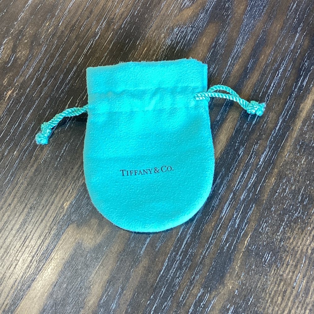 Tiffany & Co. Turquoise Jewelry Pouch